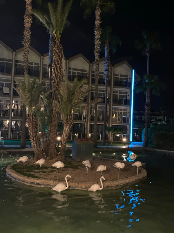 Flamingo statues displayed on pond island in Kemer resort