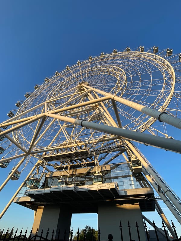 Large white Ferris wheel rising above park trees on a clear day
