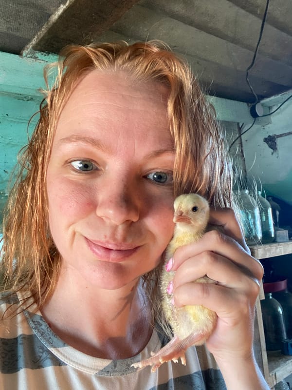 Rural Russian morning: woman, chicks, household scenes documented