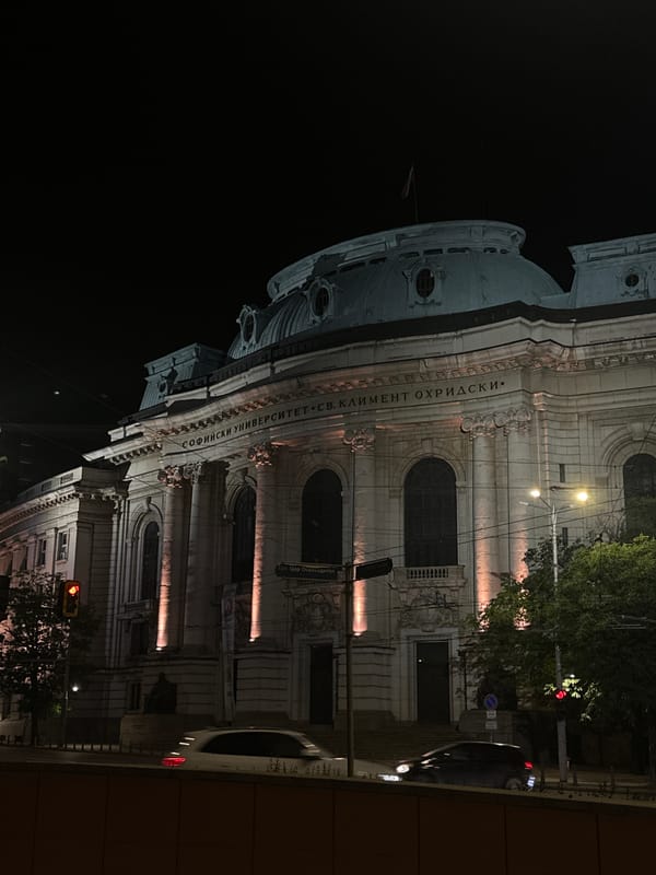 Night out documented across Sofia bars, university, streets