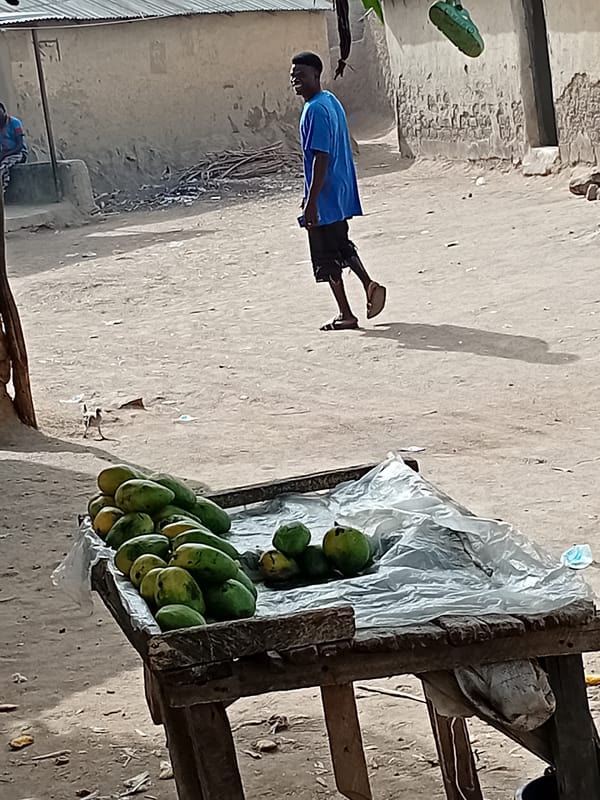 Street fruit vendor displays mangoes in Nata-Ala, Nigeria
