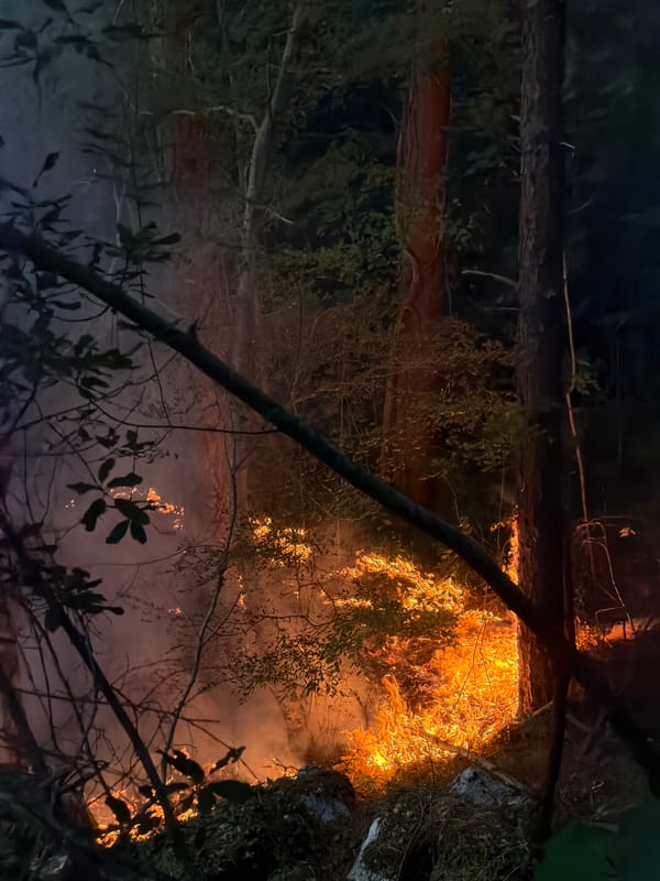 Forest fire burns through wooded hills near Kanjoši, Montenegro