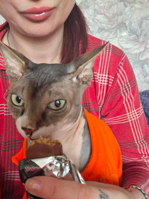 Morning coffee and chocolate shared with cat in Belarus