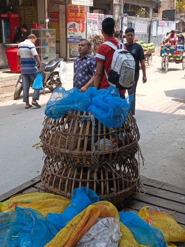 Morning street life documented in Dhaka, Bangladesh