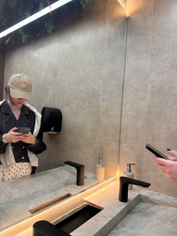 Person documented using phone in decorated Yerevan restaurant restroom