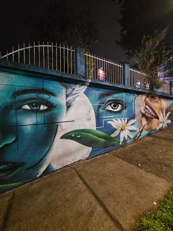 Street mural with three faces documented in Temuco, Chile