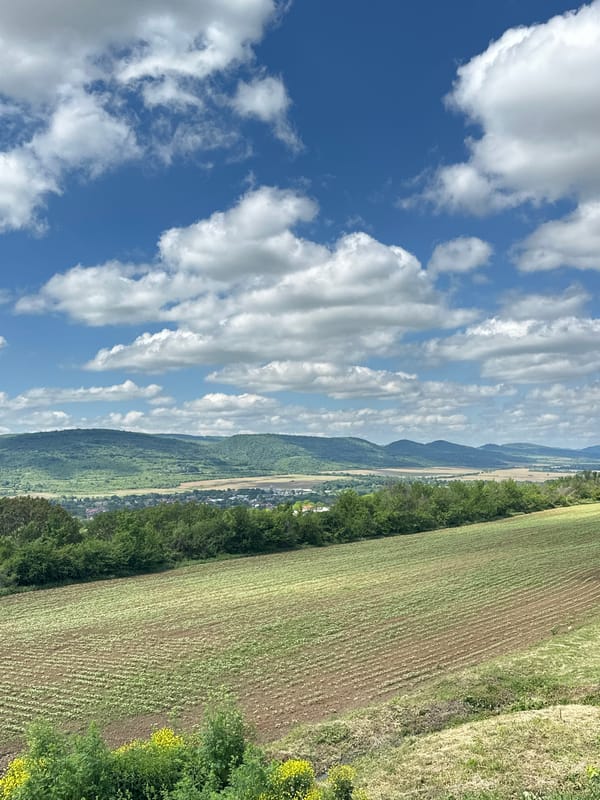 Vehicle convoy observed traveling through Ledenik, Bulgaria farmland