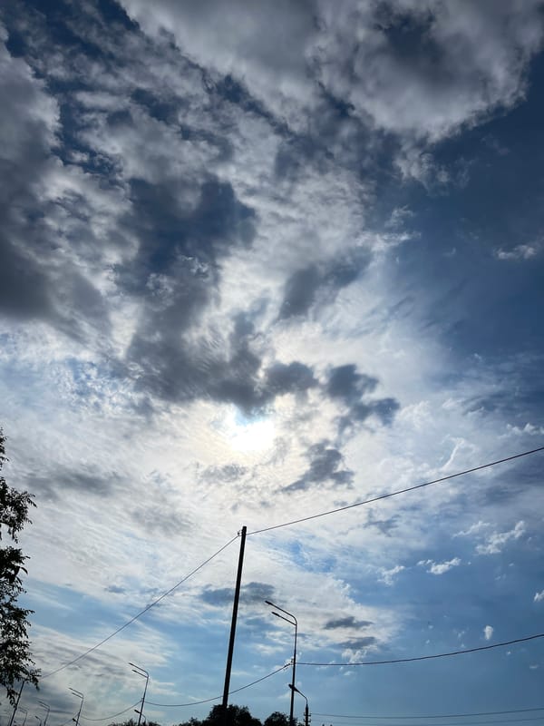 Dog walk through the streets and outskirts of Donskoye