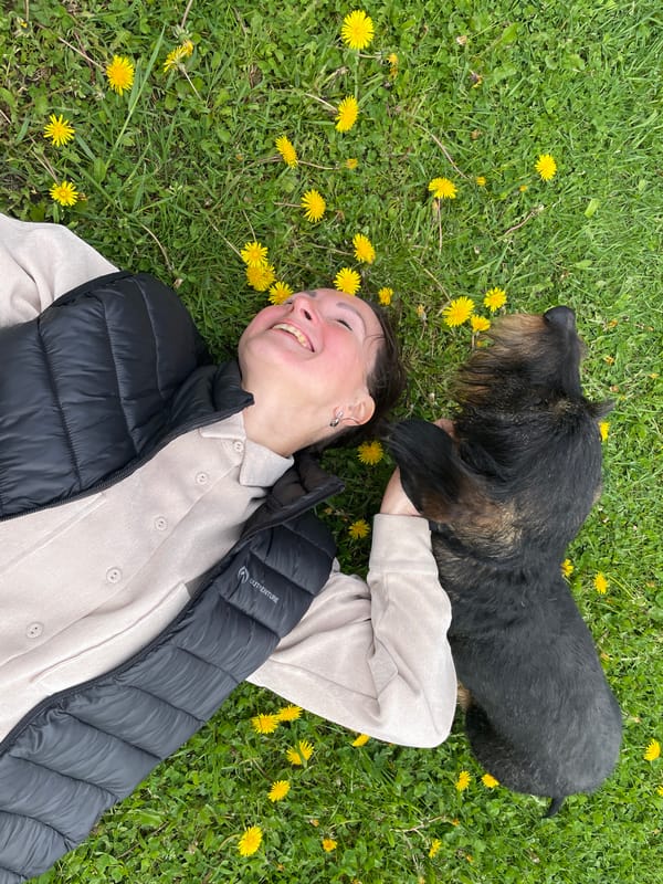 Woman and dachshund enjoy spring afternoon in Russian countryside