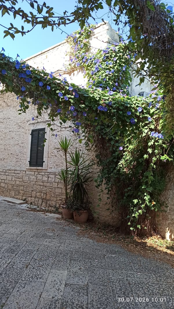 Terlizzi's old town on a sunny July morning