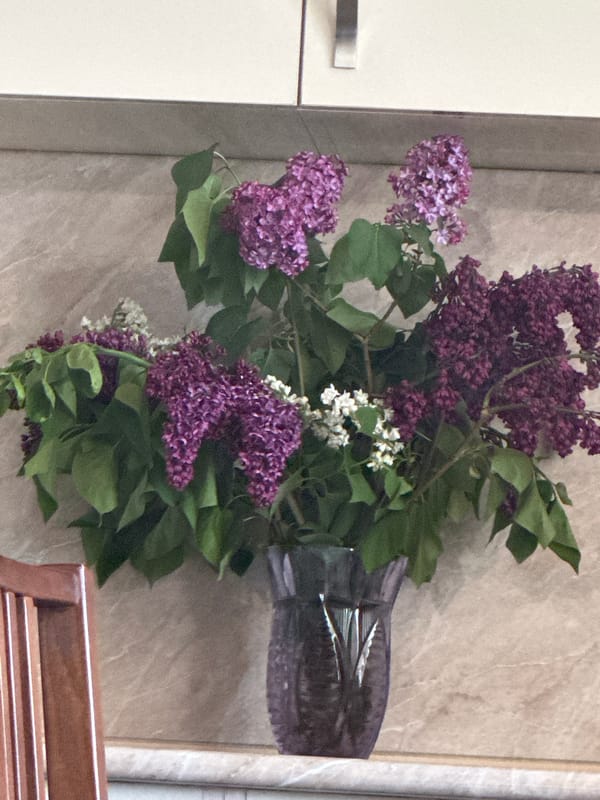 Indoor scene captures lilac bouquet and framed wall artwork