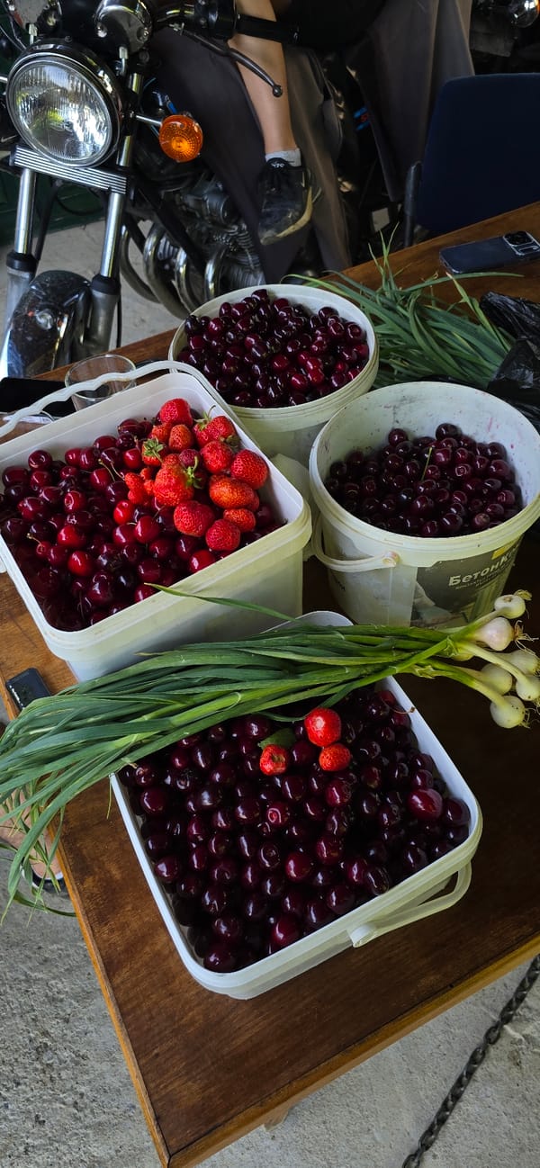 Fresh fruit harvest and rural life in Vratsa