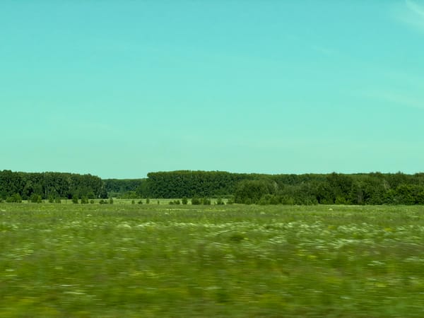 Open fields and power lines outside Cherepanovo on a summer morning