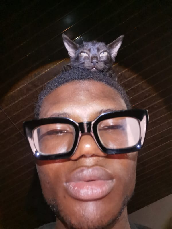 Lagos resident shares playful selfie moments with black kitten