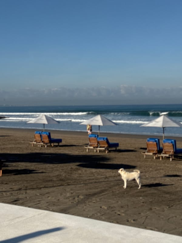 Ordinary beach day captured in Kuta, Indonesia