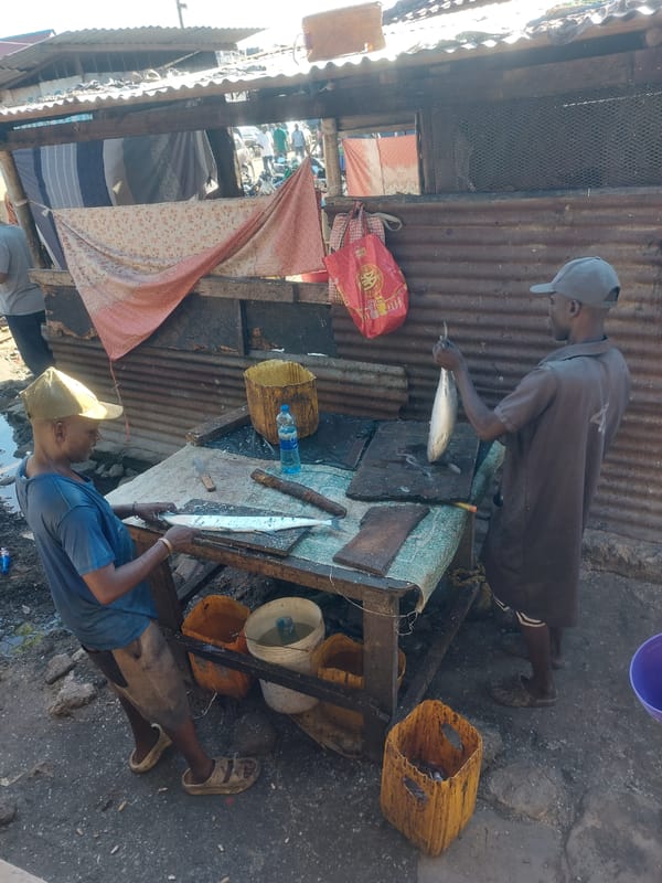 Fish market operations documented across Dar es-Salaam
