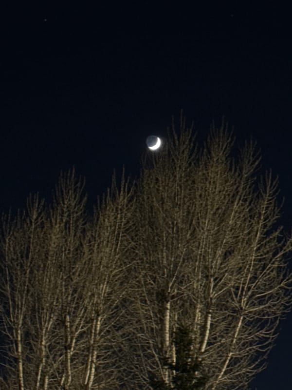 Crescent moon illuminates Saint Petersburg night sky, witnesses document