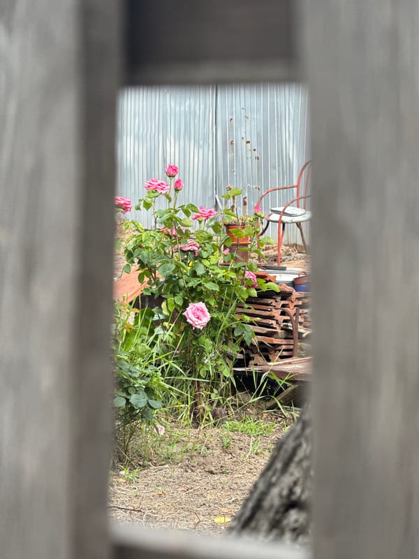 Everyday life glimpsed in Vozdovac alley, Serbia