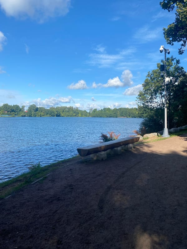 Lakeside park stroll in Saint Petersburg on a summer morning