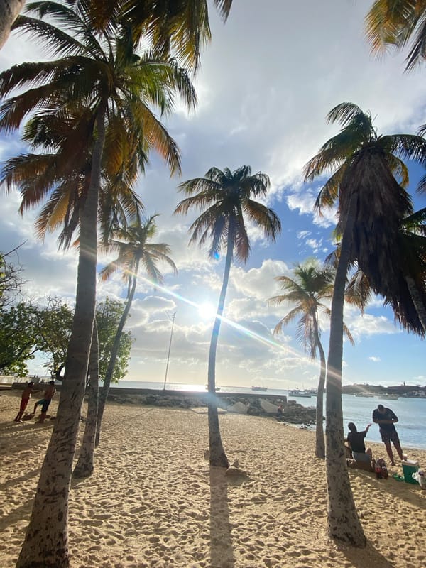 Tropical beach moments captured in Juan Griego, Venezuela