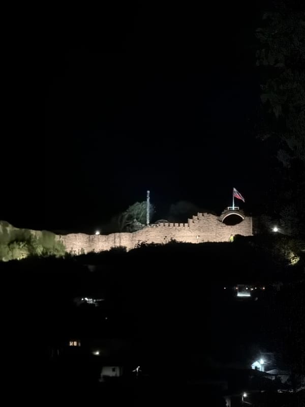 Medieval castle illuminated at night captured by witnesses