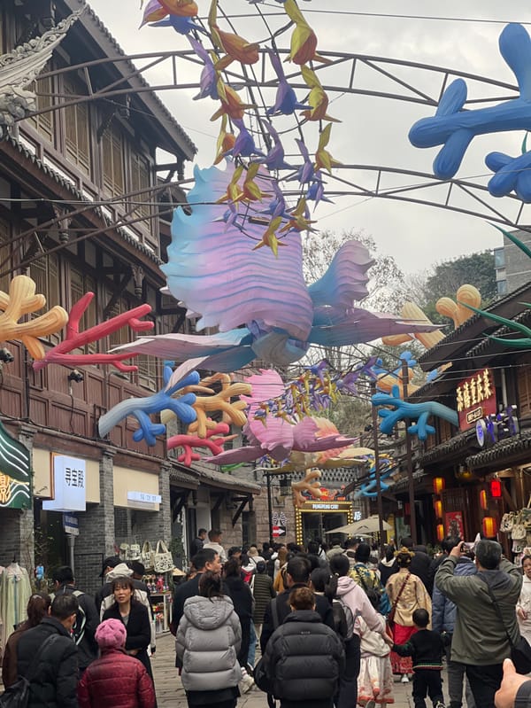 Traditional Chinese cultural gathering draws costumed participants to Ciqikou Ancient Town