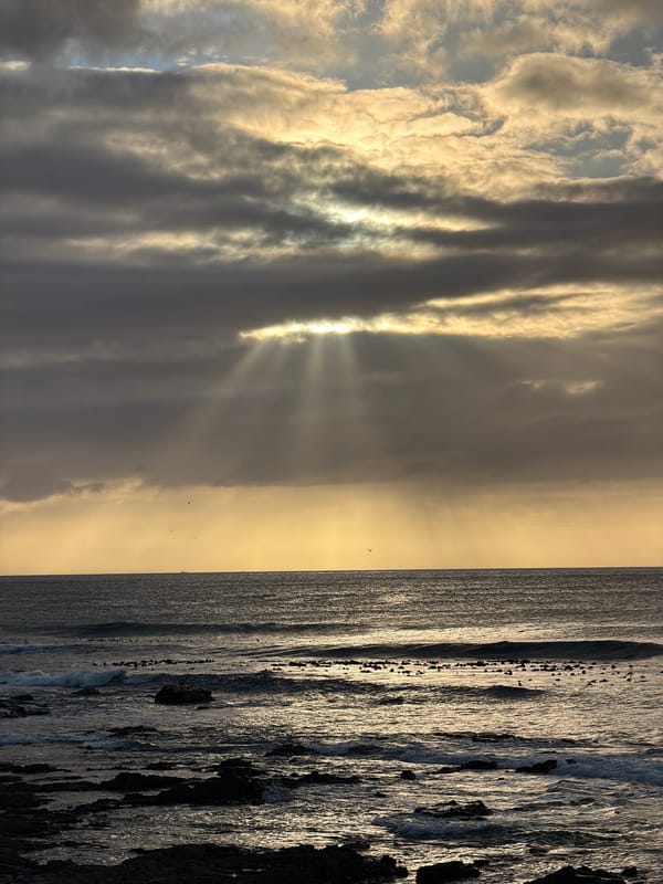 Cape Town waterfront scenes: joggers, sailing, sunset captured