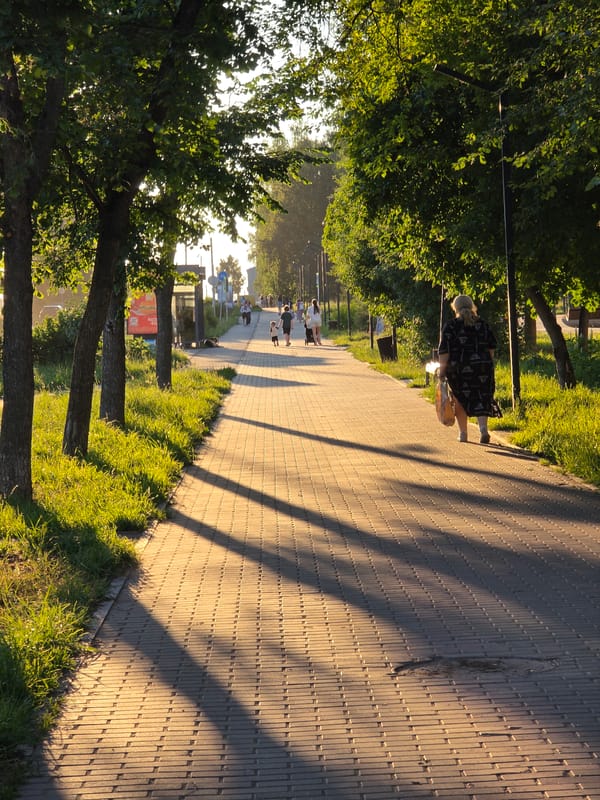 Sunset stroll through a tree-lined park pathway