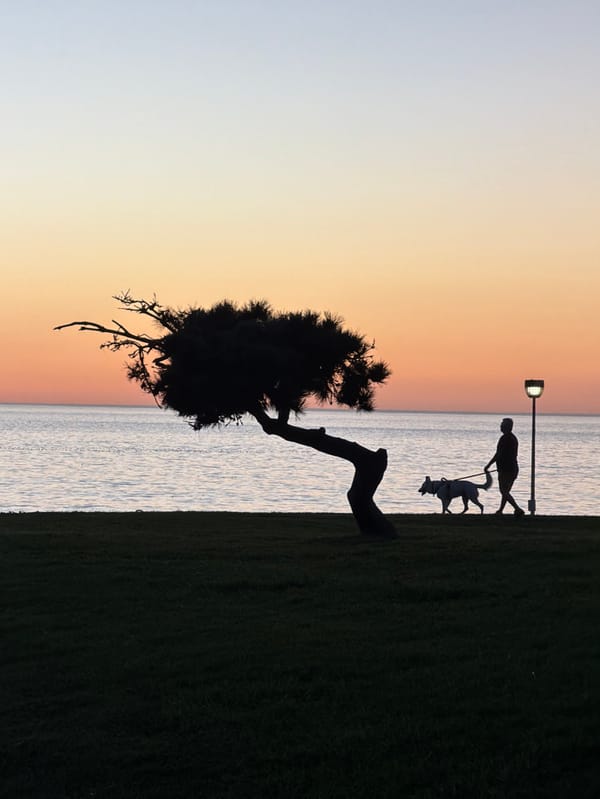 Sunset dog walkers gather along Torrance-Redondo Beach waterfront