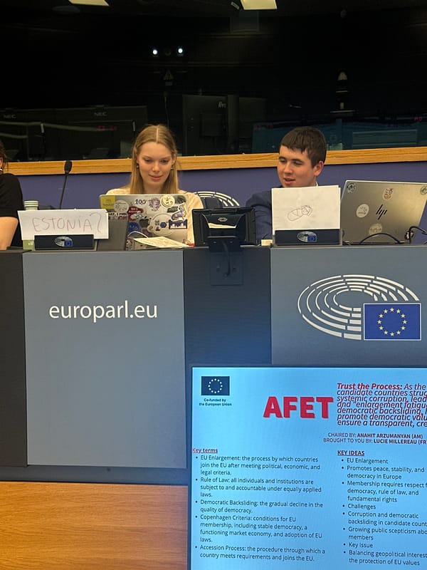 Youth simulation event held at European Parliament in Strasbourg
