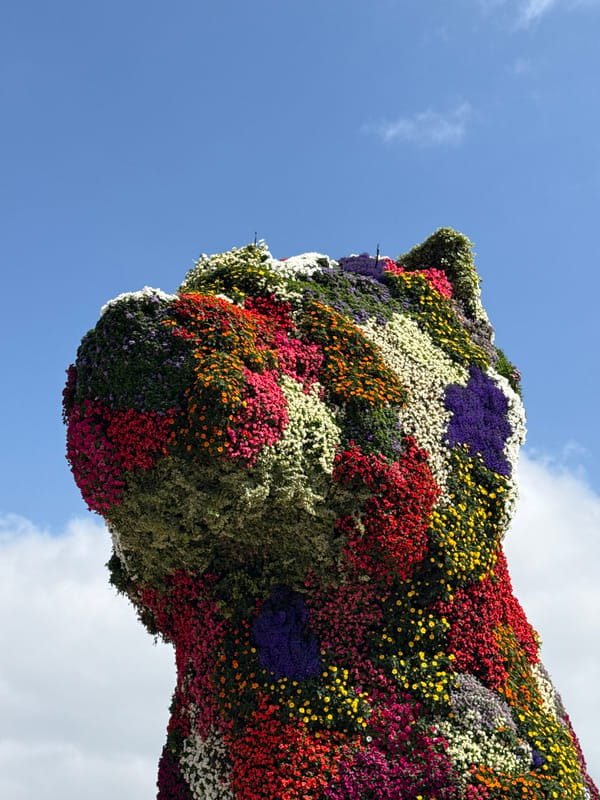 Morning at the Guggenheim Bilbao: titanium curves and Koons' Puppy
