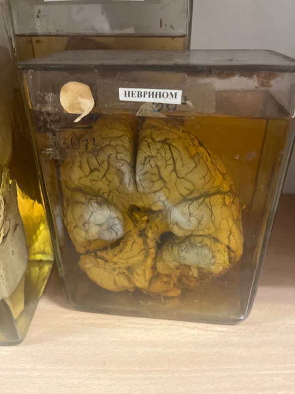 Medical University Visit Documents Anatomy Lab, Specimens in Plovdiv
