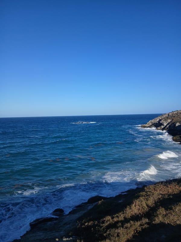 Visitors gather at clifftop viewpoints overlooking Playa Parguito beach