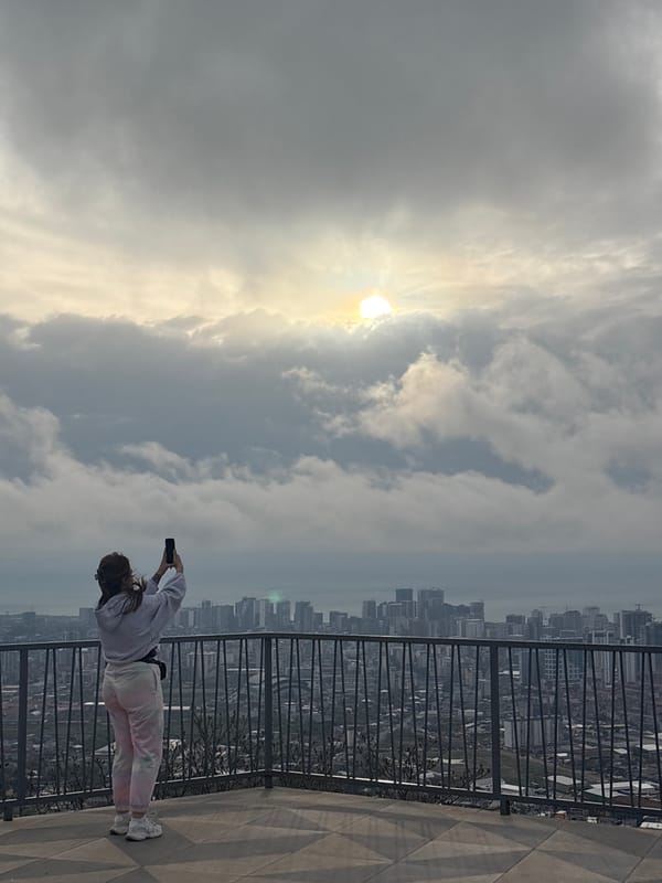 Tourist photographs cloudy cityscape from Batumi observation deck