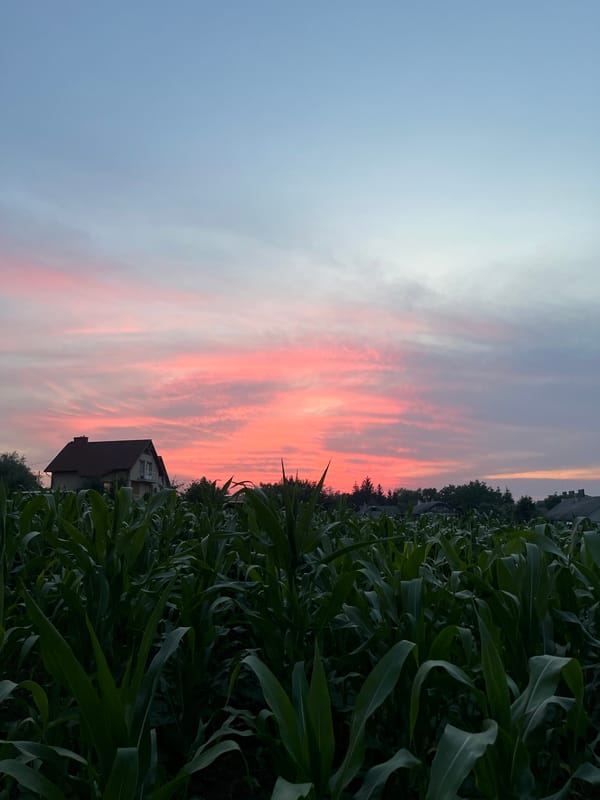 Vivid summer sunset over a small Ukrainian village