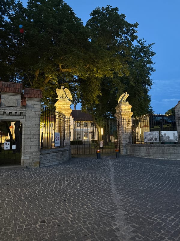 Dusk stroll through Kadriorg with a dog, Tallinn