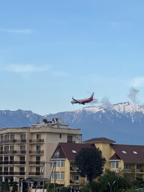 Paraglider, aircraft, seagulls captured in brief Sochi afternoon sequence