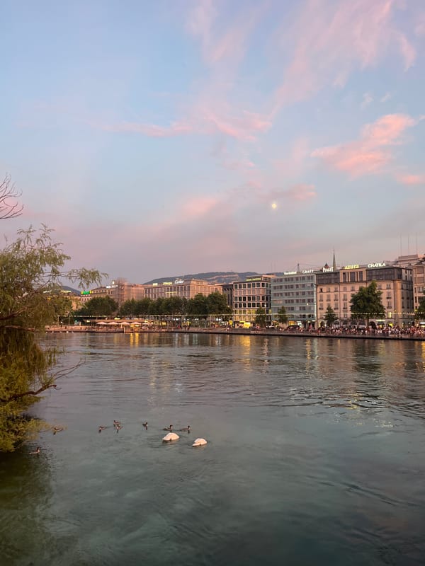 Mass bike ride rolls through Geneva at golden hour