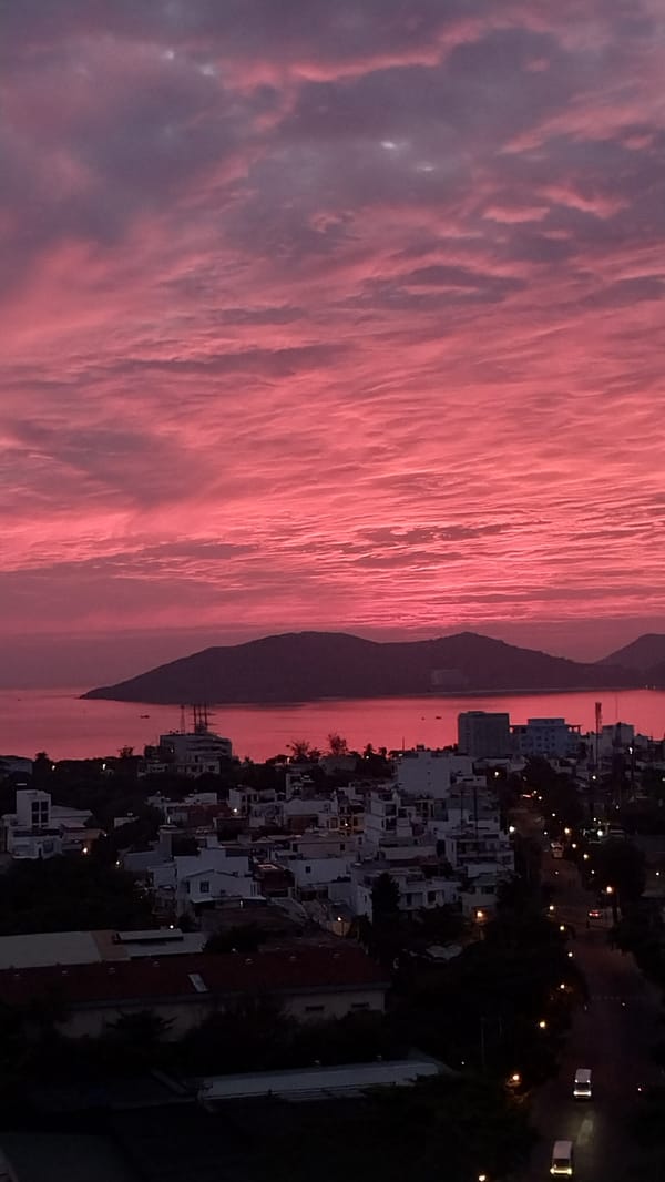 Fiery pink and red sunset lights up a coastal city skyline