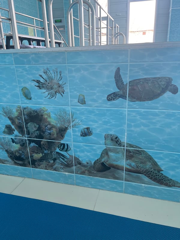 Disney-themed swimming facility documented in Ulyanovsk, Russia