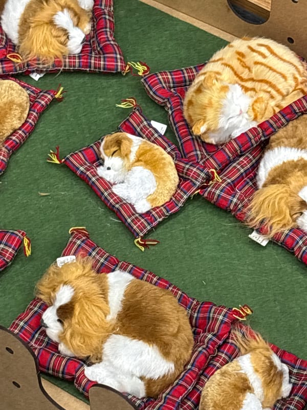 Toy store displays feature stuffed animals and children's products