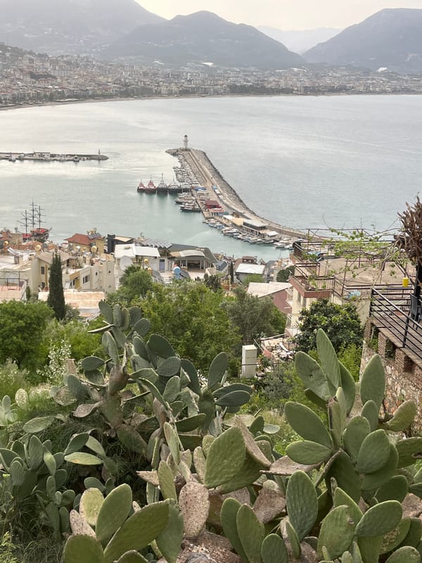 Morning photography walk captures Alanya Turkey coastal scenes and wildlife