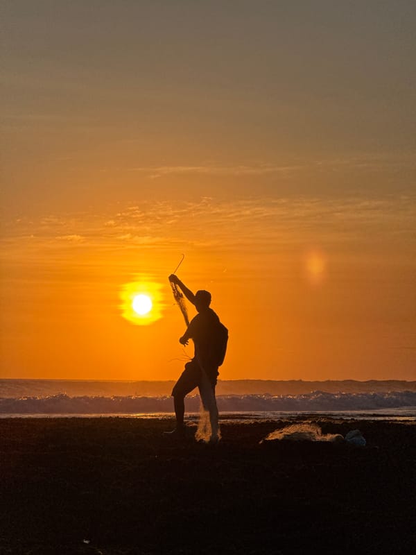 Sunset tide pools, herons, dogs, and a Balinese coastal setting