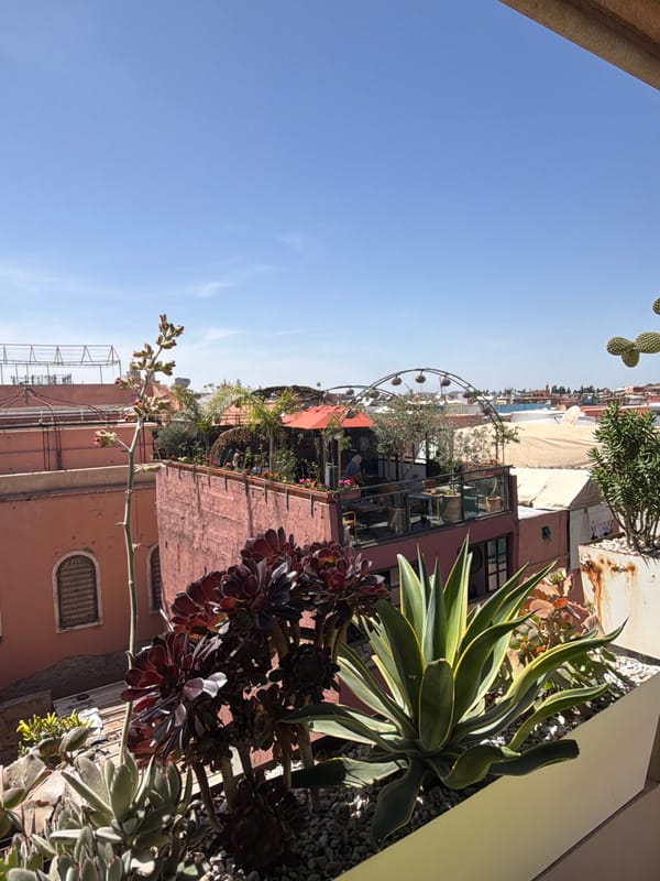 Tourist documents casual moments across Marrakesh in five-minute span