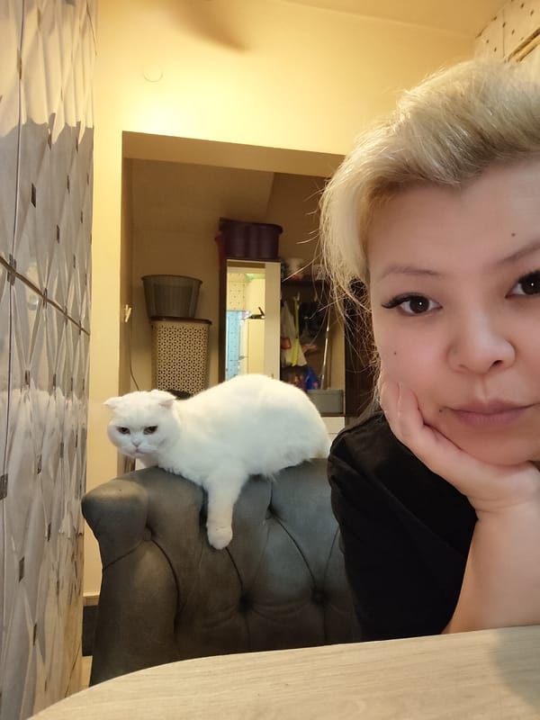 Morning routine of white cat documented in Turkish home