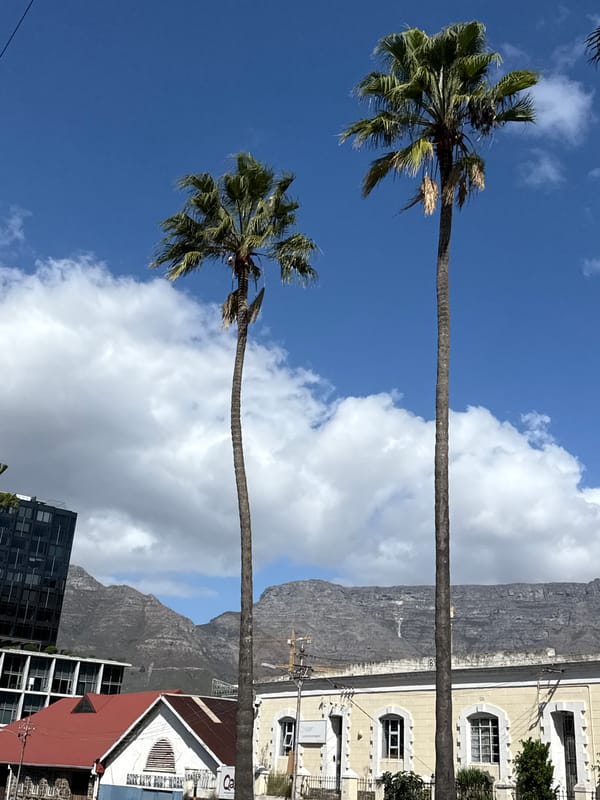 Morning coffee break captured beneath Cape Town's Table Mountain