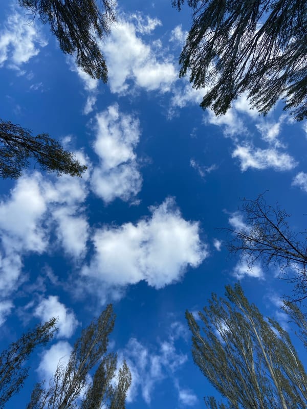 Afternoon photography session captured sky and selfie in Saratov