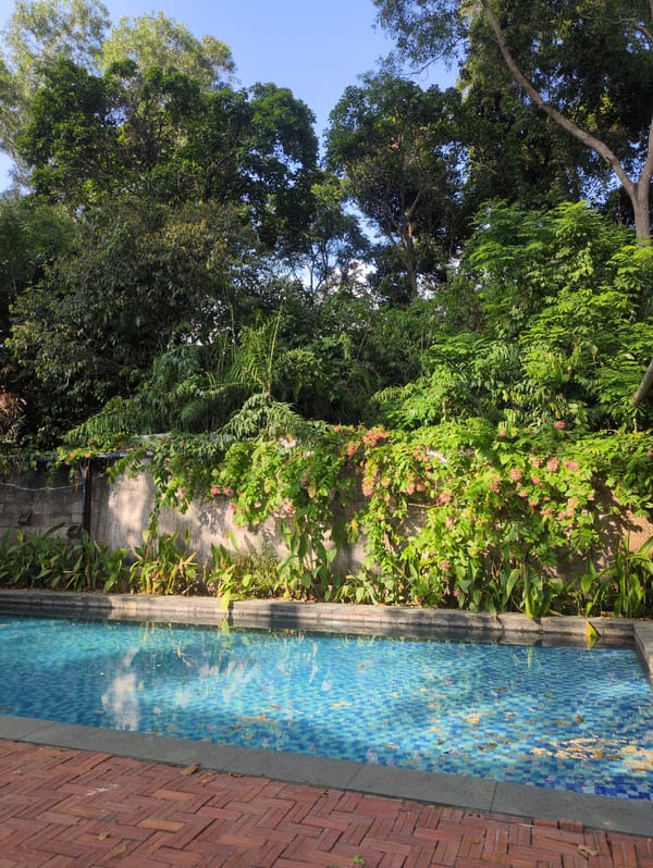 Tropical resort venue with pool and restaurant terrace documented