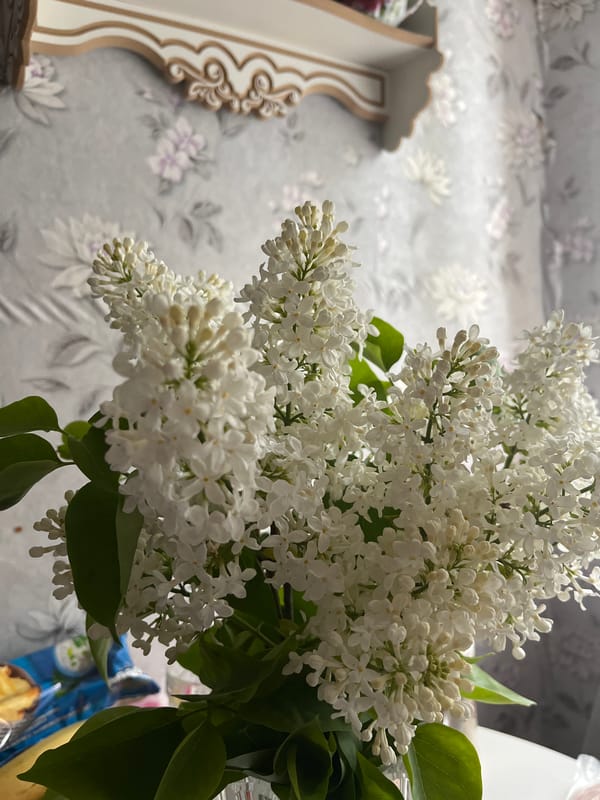 Anonymous witness documents domestic life in rural Мшинская, Russia