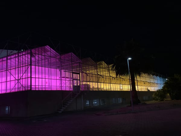 University greenhouse displays colorful nighttime illumination in València